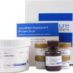 OSK 12BC_2124 AzureRed蛍光タンパク質染料